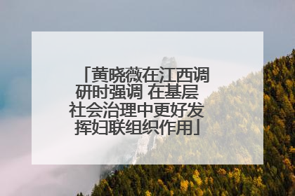 黄晓薇在江西调研时强调 在基层社会治理中更好发挥妇联组织作用