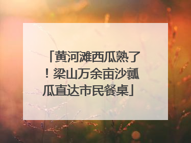 黄河滩西瓜熟了！梁山万余亩沙瓤瓜直达市民餐桌
