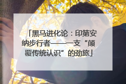 黑马进化论：印第安纳步行者——一支“颠覆传统认识”的劲旅