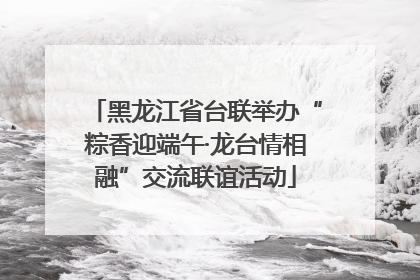 黑龙江省台联举办“粽香迎端午·龙台情相融”交流联谊活动