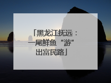 黑龙江抚远：一尾鲜鱼“游”出富民路