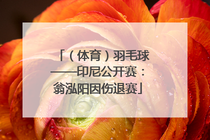 （体育）羽毛球——印尼公开赛：翁泓阳因伤退赛