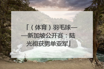 （体育）羽毛球——新加坡公开赛：陆光祖获男单亚军