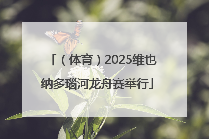 （体育）2025维也纳多瑙河龙舟赛举行