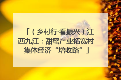 （乡村行·看振兴）江西九江：甜蜜产业拓宽村集体经济“增收路”