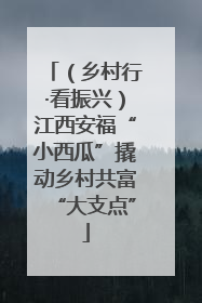 （乡村行·看振兴）江西安福“小西瓜”撬动乡村共富“大支点”