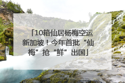 10箱仙居杨梅空运新加坡！今年首批“仙梅”抢“鲜”出国