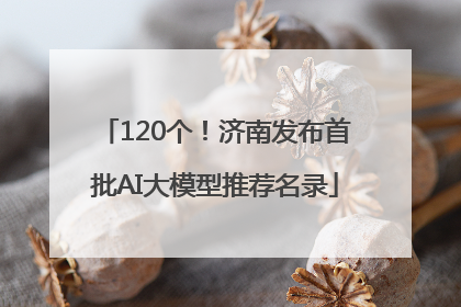 120个！济南发布首批AI大模型推荐名录