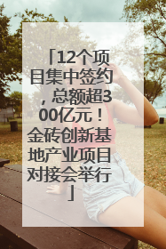 12个项目集中签约，总额超300亿元！金砖创新基地产业项目对接会举行