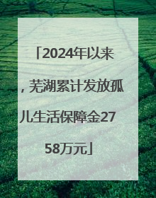 2024年以来，芜湖累计发放孤儿生活保障金2758万元