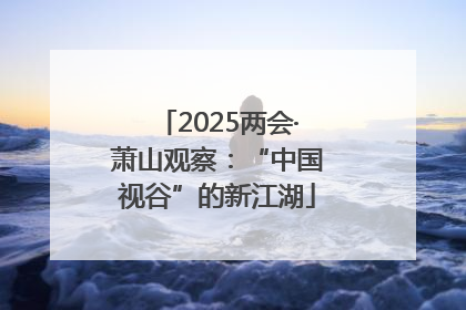 2025两会·萧山观察：“中国视谷”的新江湖