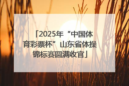 2025年“中国体育彩票杯”山东省体操锦标赛圆满收官