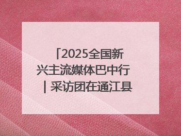 2025全国新兴主流媒体巴中行｜采访团在通江县瞻仰全国最大红军烈士陵园