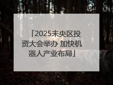 2025未央区投资大会举办 加快机器人产业布局