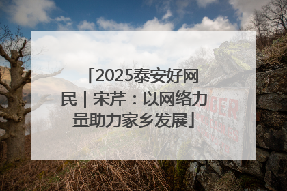 2025泰安好网民｜宋芹：以网络力量助力家乡发展