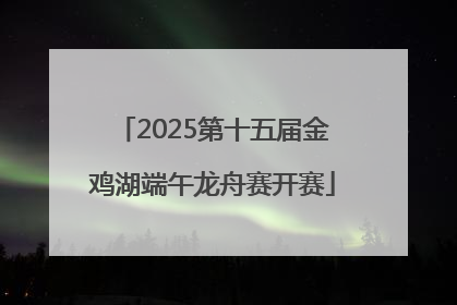 2025第十五届金鸡湖端午龙舟赛开赛
