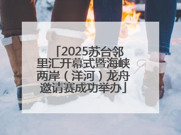 2025苏台邻里汇开幕式暨海峡两岸（洋河）龙舟邀请赛成功举办