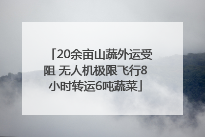 20余亩山蔬外运受阻 无人机极限飞行8小时转运6吨蔬菜
