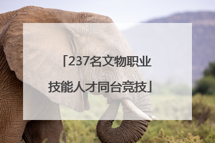237名文物职业技能人才同台竞技