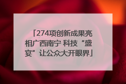 274项创新成果亮相广西南宁 科技“盛宴”让公众大开眼界