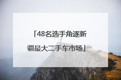48名选手角逐新疆最大二手车市场