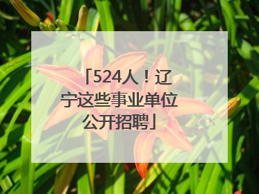 524人！辽宁这些事业单位公开招聘