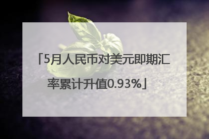 5月人民币对美元即期汇率累计升值0.93%