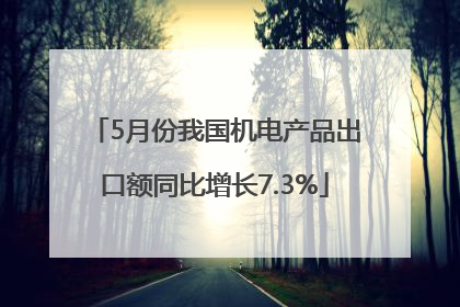 5月份我国机电产品出口额同比增长7.3%