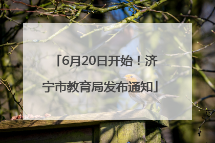 6月20日开始！济宁市教育局发布通知
