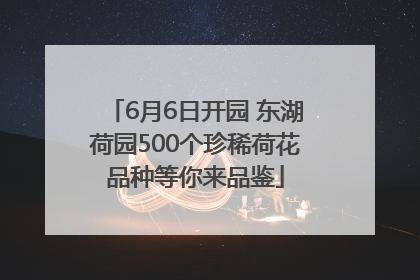 6月6日开园 东湖荷园500个珍稀荷花品种等你来品鉴