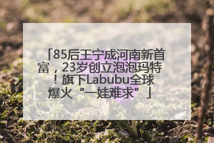 85后王宁成河南新首富，23岁创立泡泡玛特！旗下Labubu全球爆火“一娃难求”