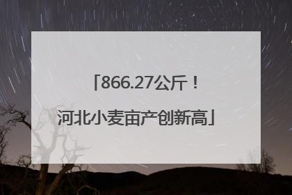 866.27公斤！河北小麦亩产创新高