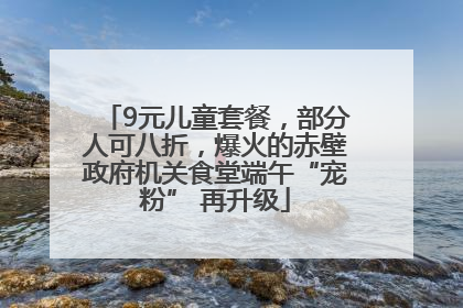 9元儿童套餐，部分人可八折，爆火的赤壁政府机关食堂端午“宠粉” 再升级