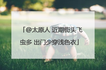 @太原人 近期街头飞虫多 出门少穿浅色衣
