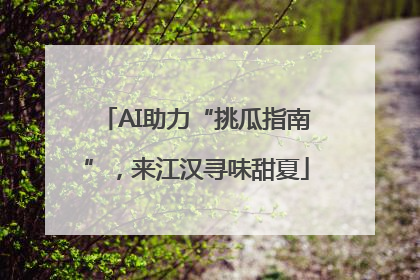 AI助力“挑瓜指南”，来江汉寻味甜夏