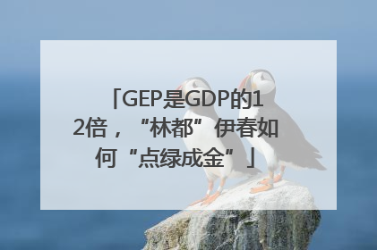 GEP是GDP的12倍，“林都”伊春如何“点绿成金”