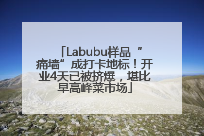 Labubu样品“痛墙”成打卡地标！开业4天已被挤爆，堪比早高峰菜市场
